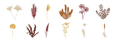 Kırmızı-turuncu renk paletinde düz botanik elementler beyaz arkaplanda izole edilmiş. Estetik botanik grafik tasarım elementleri.