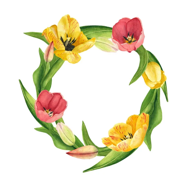 Beyaz arka planda lale çelengi. Suluboya el çizimi. Dekorasyon ve baskı tasarımı sanatı