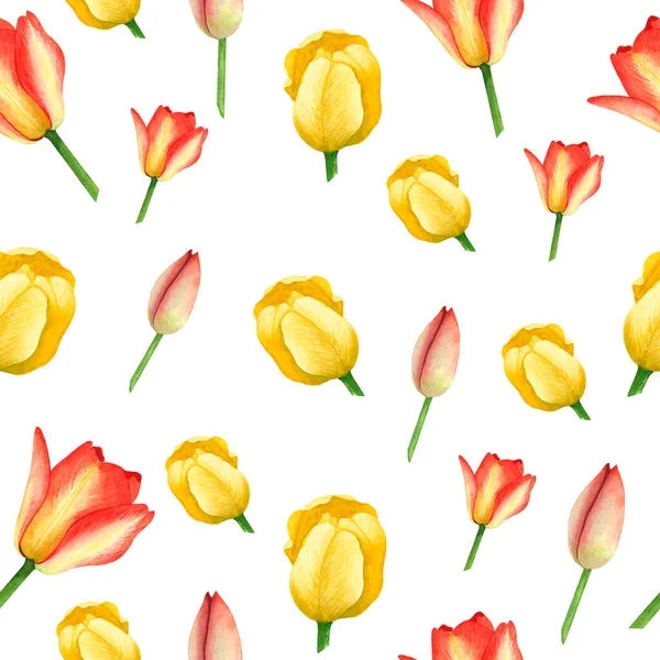 Laleler sarı ve kırmızı renkler beyaz arka planda pürüzsüz desen. Suluboya el çizimi. Baskı, tekstil, kumaş, duvar kâğıdı, kağıt ve albüm tasarımı için sanat