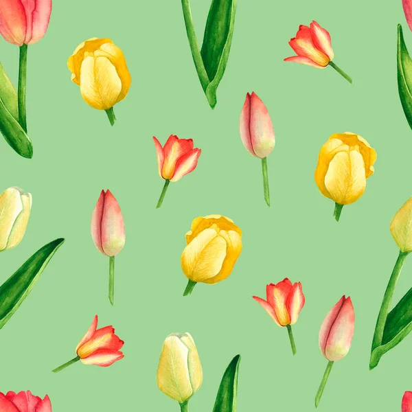Laleler sarı ve kırmızı renkler yeşil arka planda pürüzsüz desen. Suluboya el çizimi. Baskı, tekstil, kumaş, duvar kâğıdı, kağıt ve albüm tasarımı için sanat