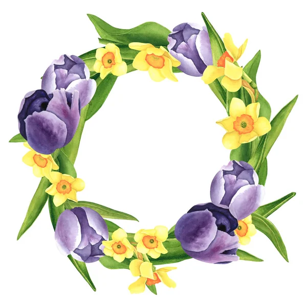 Laleler mor, nergis çelengi ise beyaz arka planda. Suluboya el çizimi. Dekorasyon ve tasarım sanatı