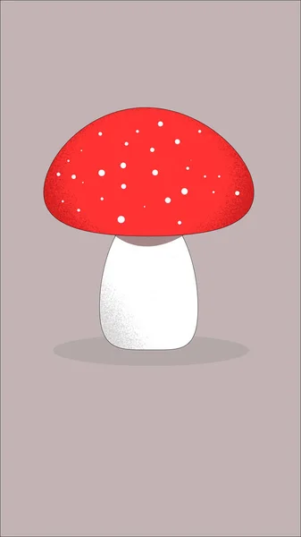 Forest Mushroom Fly Agaric — Stock Photo, Image