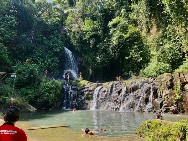 beauty and nature waterfall in tamansari waterfall in ubud bali