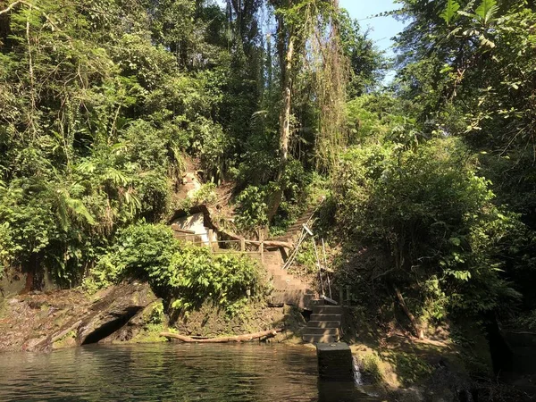 beauty nature view at river in bali