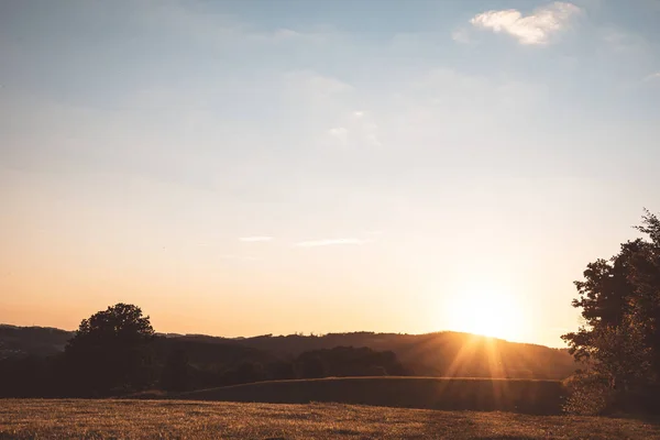 Ağaçların üzerinde güzel bir günbatımı.