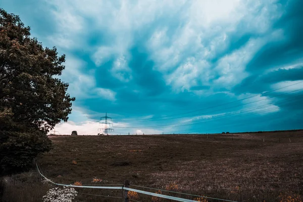 Ağacı ve çiti olan güzel bir manzara.