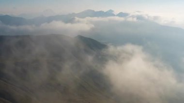 Paris, Fransa - Zaman Kaynağı - Donmuş Bir Kış Sabahında Pusla Kaplanmış Bir Orman