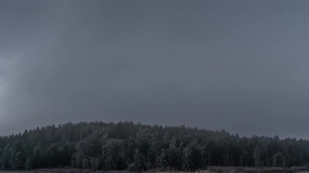 Aubrac Γαλλία Timelapse Sun Hidden Mist Frozen Winter Morning Trees — Αρχείο Βίντεο