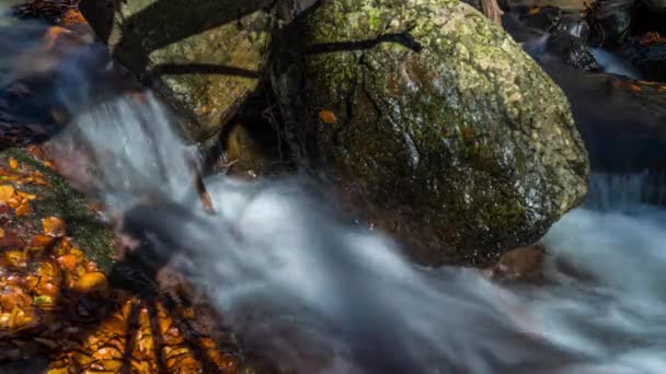 Aubrac Francia Timelapse Agua Mueve Rápido Junto Las Rocas Río — Vídeos de Stock