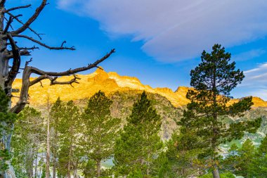 Gündoğumunda Fransız Pirenelerinde Arkaplan Dağı ve Siluet Ağaçları