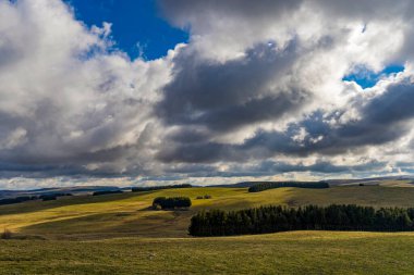 Bulutlu ve güneşli Gökyüzü Altında Ateşli Fransız Çimen Tepesi