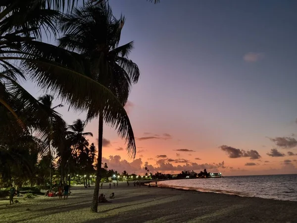 Palmiye ağaçlarıyla sahilde güzel bir gün batımı