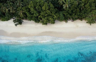 Seyşeller 'in doğası