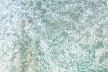 Seyşeller 'in doğası