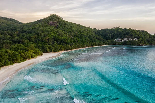 Aard Van Seychellen — Stockfoto