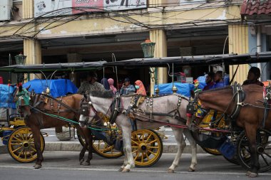 Geçmişteki geleneksel araçlar. Ulaşım alanında teknolojinin gelişmesinden önce insanlar bunu araç olarak kullanırdı.