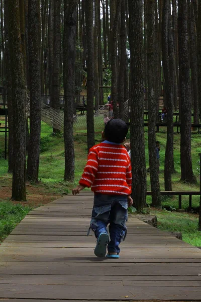 a boy in a red jacket is walking in the park