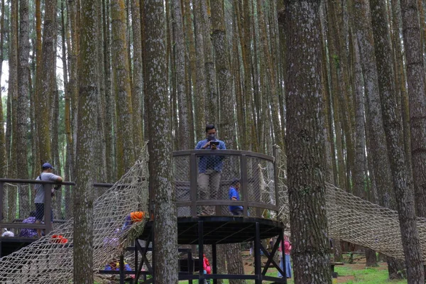 the man climbs a tree. a girl in a forest. people are engaged in the park