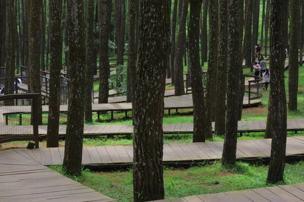 Şehirdeki güzel park manzarası