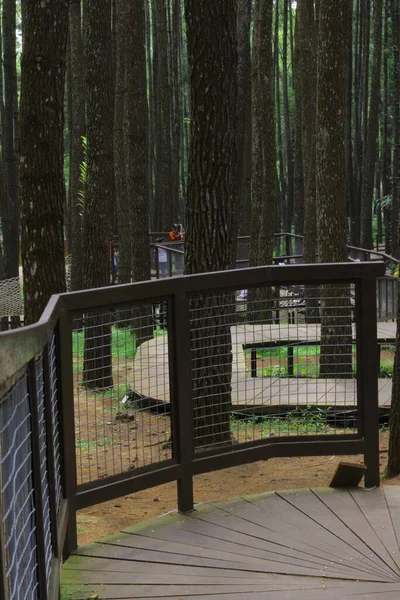 a vertical shot of a bench in a wooden walkway with a swing in the foreground