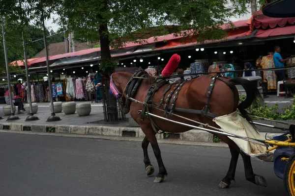 Kahverengi at yolda koşuyor.
