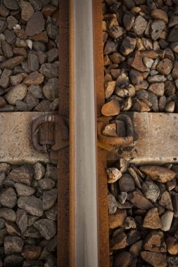 Demiryolu rayları, küçük kaldırım taşlarının altında gömülü bilyelerin arasından geçti..