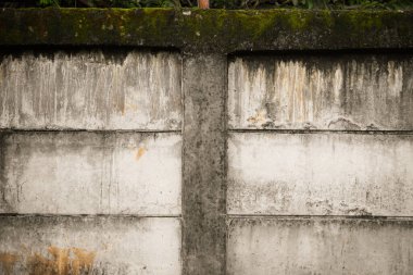 Eski yosunlu beton duvarı