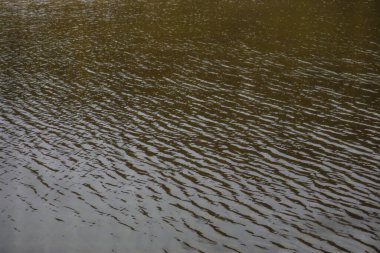 Su rüzgar tarafından emilir ve yüzeydeki dalgaların frekansını güzel bir görsel etki yaratır.