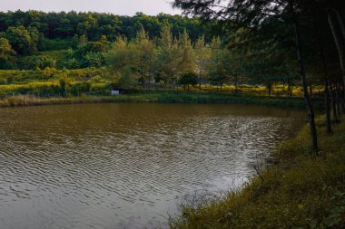 Göl suyu rüzgar tarafından emilir ve yüzeydeki dalgaların frekansını güzel bir görsel etki yaratır.