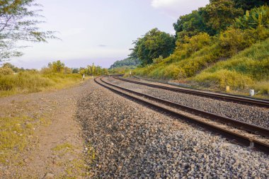 Demiryolu rayları orman yolundan ve kenarlarındaki yeşil ağaçlardan geçiyor.