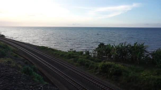 Spoorlijnen Lopen Door Bospaden Tussen Uitzicht Zee Kliffen Die Het — Stockvideo