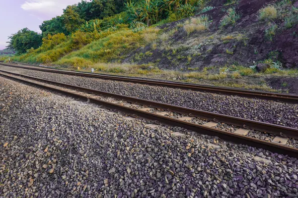 Die Bahngleise Führen Durch Den Waldweg Und Die Grünen Bäume — Stockfoto