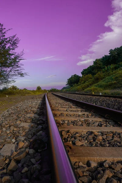 Die Bahngleise Führen Durch Den Waldweg Und Die Grünen Bäume — Stockfoto