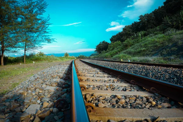 Die Bahngleise Führen Durch Den Waldweg Und Die Grünen Bäume — Stockfoto