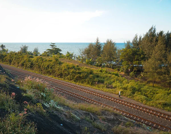 Spoorlijnen Lopen Door Bospaden Tussen Zee Het Uitzicht Kliffen Waardoor — Stockfoto