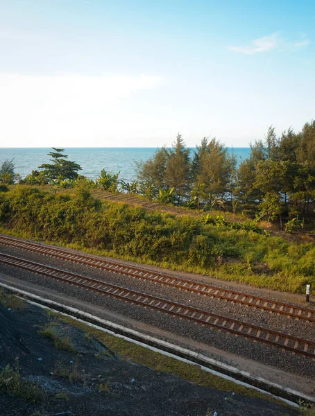 Spoorlijnen Lopen Door Bospaden Tussen Zee Het Uitzicht Kliffen Waardoor — Stockfoto