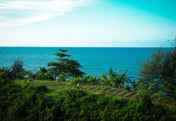 Uitzicht Groene Bomen Aan Blauwe Zee — Stockfoto