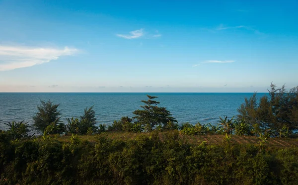 Uitzicht Groene Bomen Aan Blauwe Zee — Stockfoto