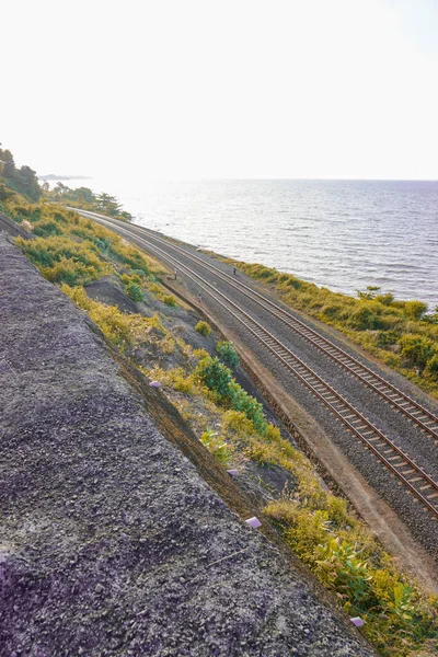 Demiryolu Rayları Ormanın Içinden Geçer Deniz Uçurum Manzarası Arasında Onu — Stok fotoğraf