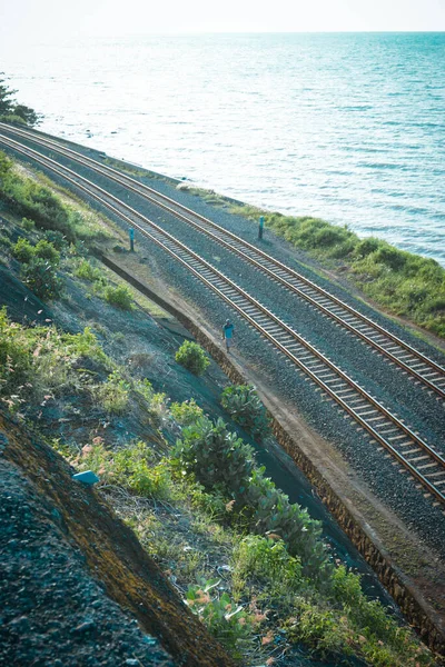 Trilhas Estrada Ferro Passam Pelas Trilhas Floresta Entre Mar Vistas — Fotografia de Stock