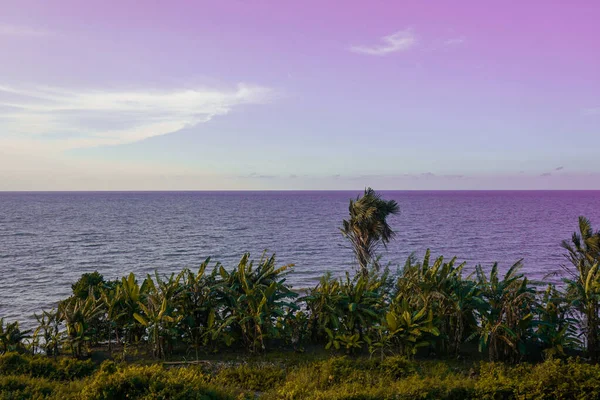 Prachtig Uitzicht Groene Bomen Aan Zee — Stockfoto