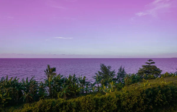 Prachtig Uitzicht Groene Bomen Aan Zee — Stockfoto