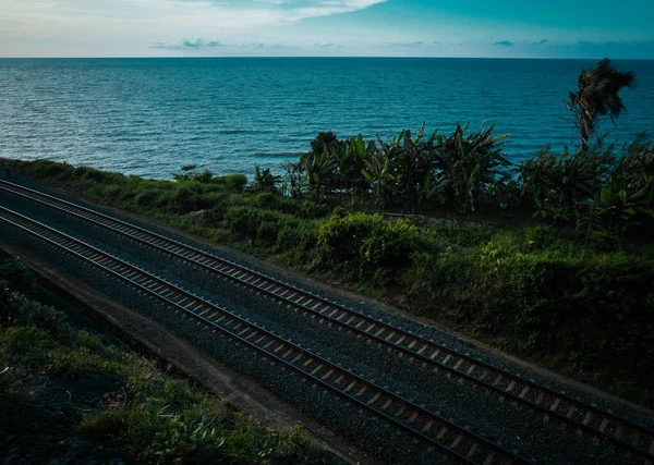 Binari Della Ferrovia Passano Attraverso Pista Forestale Passando Attraverso Vista — Foto Stock