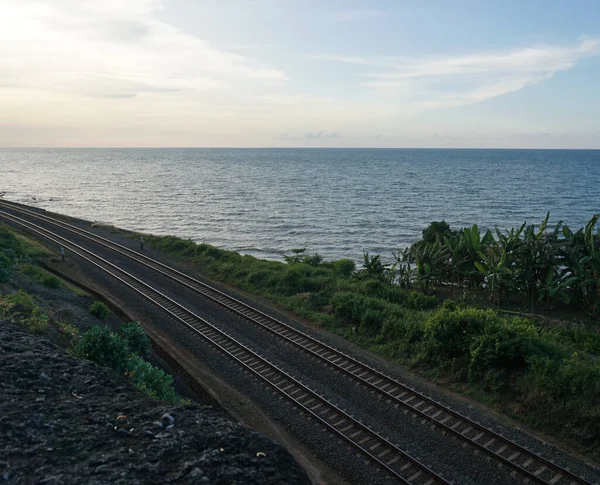 Trilhos Estrada Ferro Passam Pela Trilha Floresta Passando Pela Vista — Fotografia de Stock