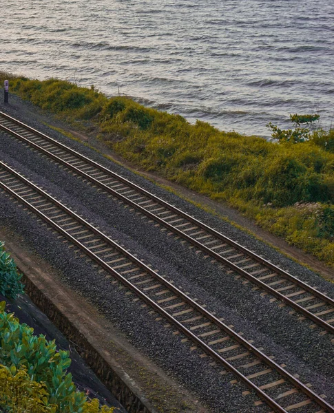 Железнодорожные Пути Проходят Лесной Тропе Проходя Через Океан Который Находится — стоковое фото