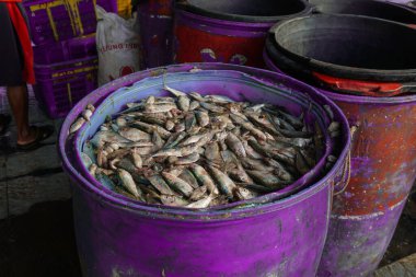 Balık pazarındaki büyük markette taze balık