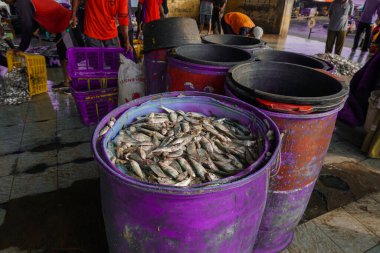 Balık pazarındaki büyük markette taze balık