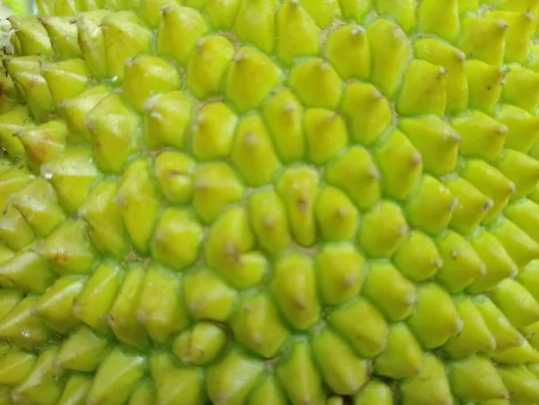 Jackfruit Skin Close Tropical Fruit — Stock Fotó