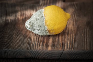 bir ahşap tahta üzerinde çürük limon