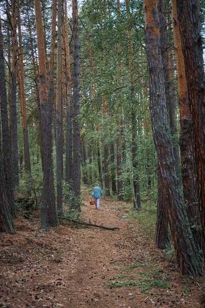 Man Walking Forest — Stock Photo, Image